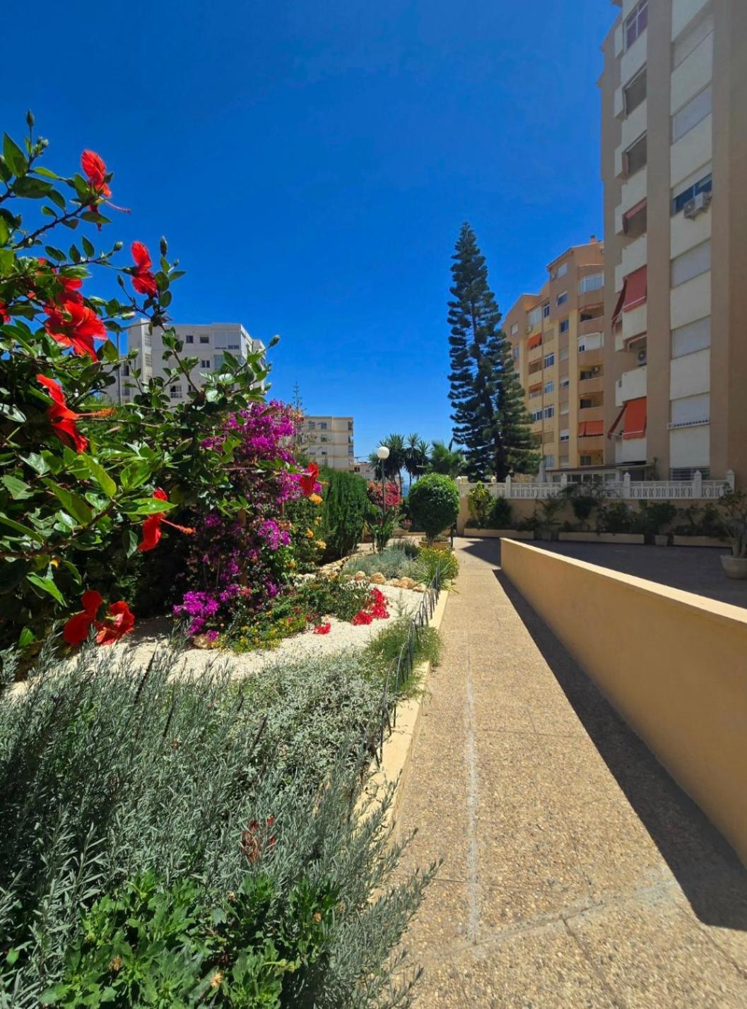 Mikasika - Duplex Apartment With Seasonal Swimming Pool & Walking Distance From The Beach La Cala Del Moral Экстерьер фото